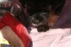 Thumbs/tn_Bild 060.jpg